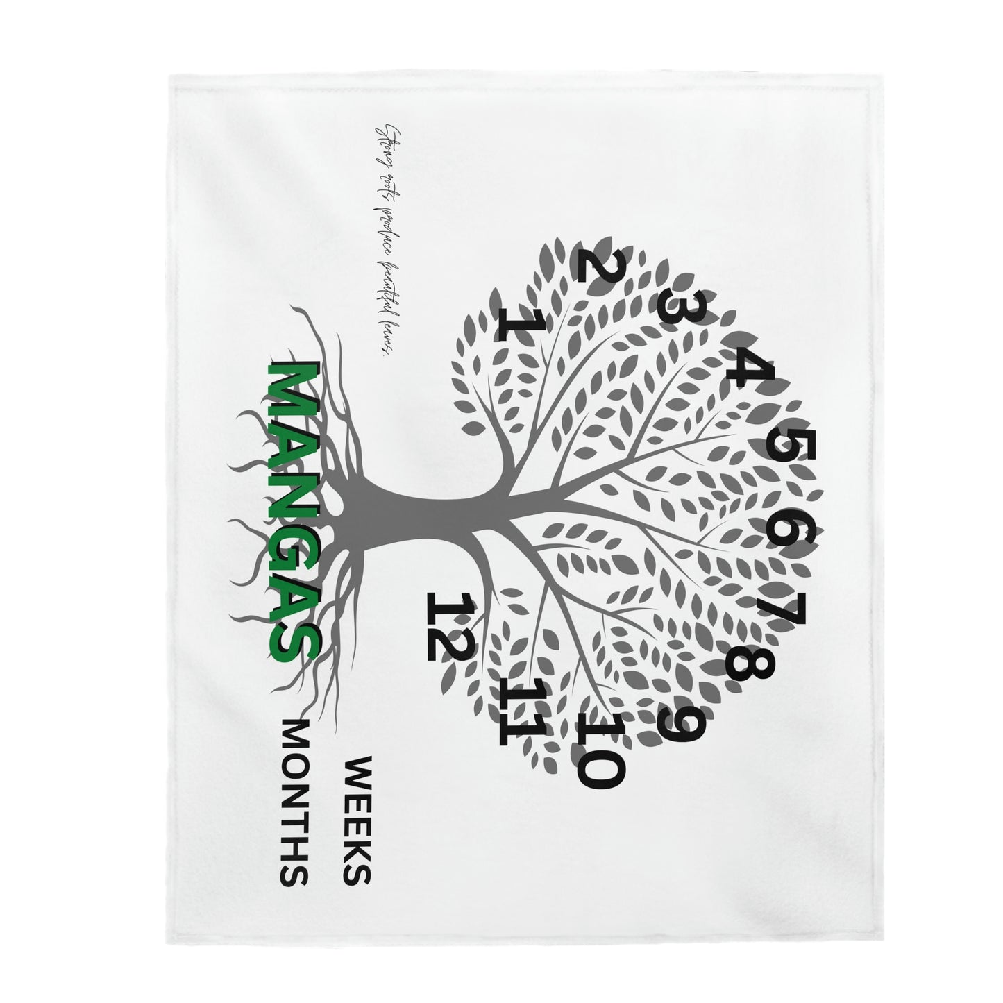 Velveteen Plush Blanket